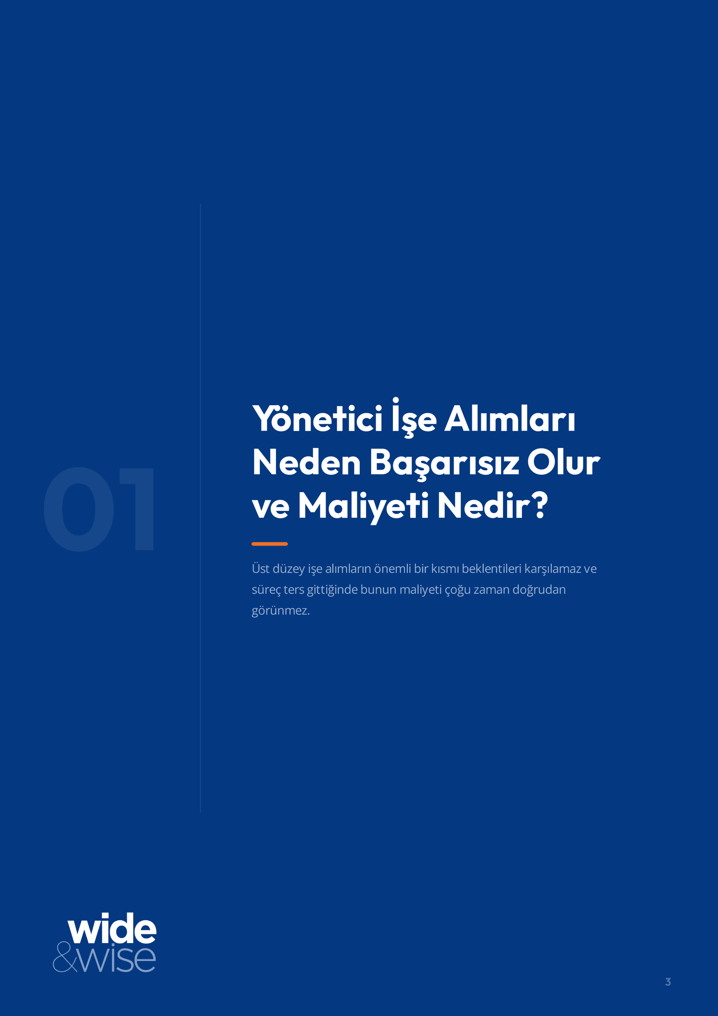 Üst Düzey Yönetici İşe Alım Kılavuzu · Ön izleme sayfası 3