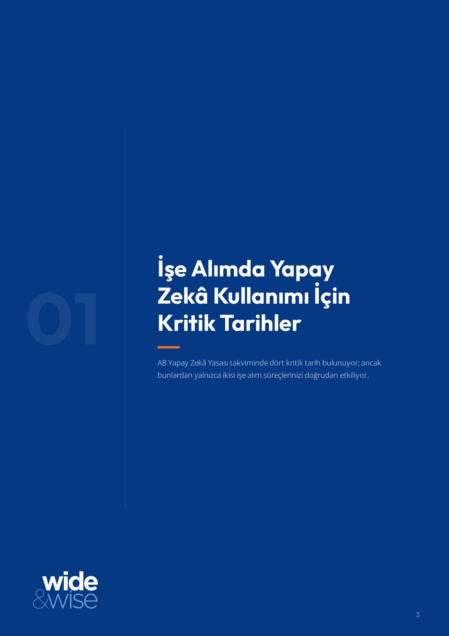 AB Yapay Zekâ Yasası ve Üst Düzey Yönetici İşe Alımı · Ön izleme sayfası 3